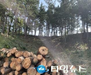 ‘대형 산불 사전예방’ 울진군, 산불예방 숲 가꾸기 사업 추진 