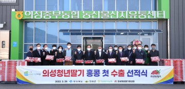 의성청년딸기 첫 홍콩 수출 선적식