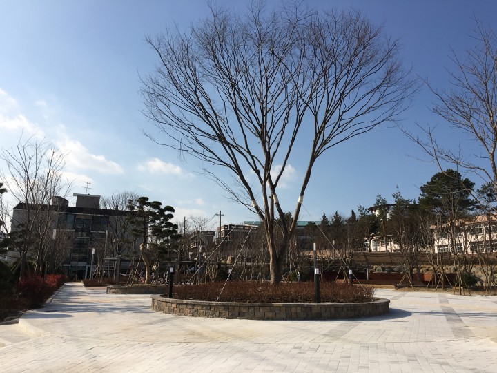 대전 동구, 신흥 문화공원 조성 ‘팡파르’