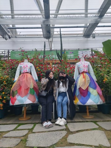 곡성섬진강기차마을, 장미꽃 한복 9점 전시