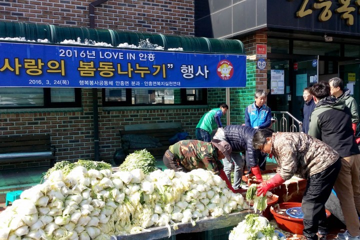 횡성군, 사랑의 봄동 나누기