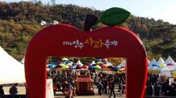 사과 ,부석사 관광콘텐츠  “환상의 조합 이뤄” 평가 