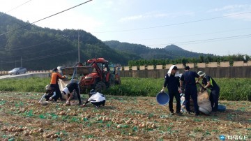 울진소방서, 농촌 일손돕기 봉사
