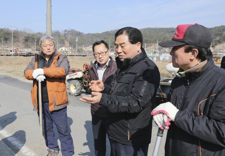 대전 대덕구, 장동지역 청보리단지 조성에 박차