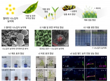전남대 김장호 교수팀, 첨단 나노농약 개발