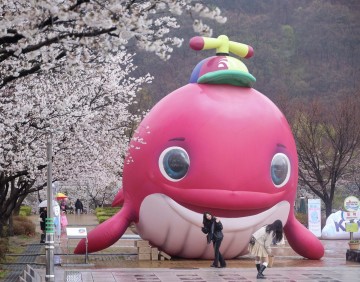 대전 대덕구, ‘대덕물빛축제’ 세대 아우르며 지역축제 새 모델 제시