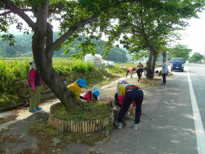 남해군 상주면 금양마을, 새마을 대청소 실시