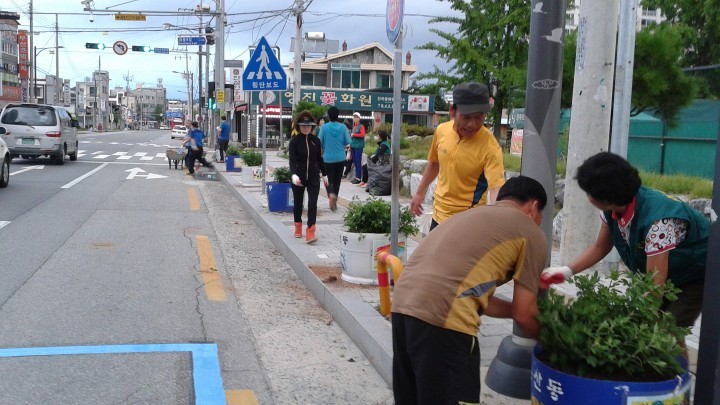 용산동 직능단체, 꿈자람거리 가을담은 국화 식재