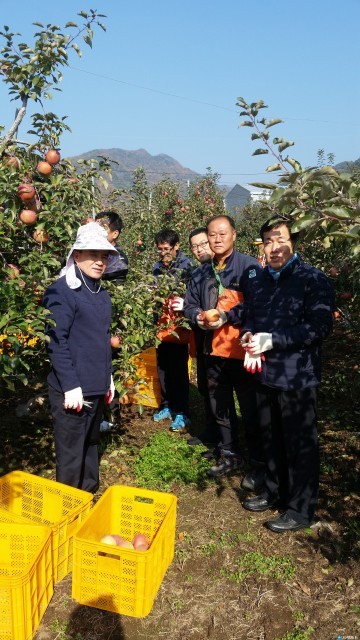 충북도 재난안전실, 생산적 일손봉사 나서