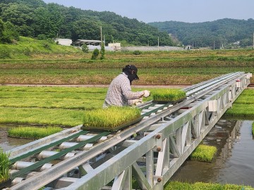 낭성면에 1,650㎡ 규모… 청주시, 벼 육묘이앙 자동화 단지 조성 박차
