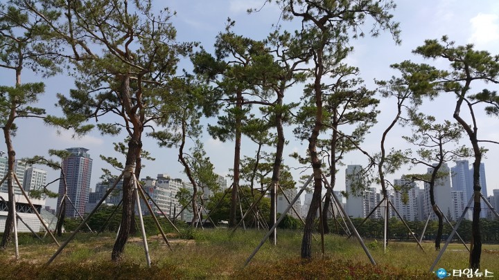 부천 시청 앞 행사, “이제 소음 걱정 없습니다!”