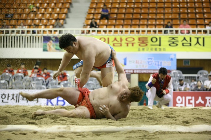 증평인삼배 전국장사씨름대회 성황리 개최