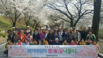 충북북부보훈지청, 벚꽃에 설來이다!
