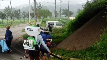 군산시 서수면 주민자치위, 제초작업에 새벽부터 구슬땀