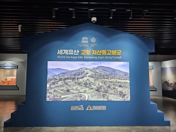 고령군, 세계유산 등재 기념 기획특별전