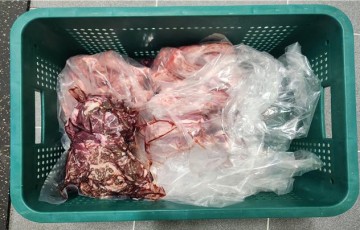 대전시, 불법 축산물 유통업체 6곳 적발…허위 표시·보관 기준 위반