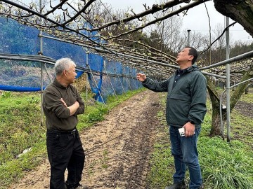 함평군, 기상이변으로 인한 봄철 우박 피해 우려…신속한 현장 기술지원 실시