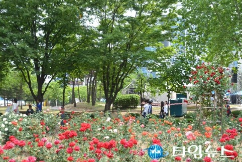 원주시 '공원 내 기초질서 위반행위' 단속