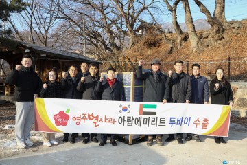 두바이의 마음을 사로잡은 ‘영주 별사과’