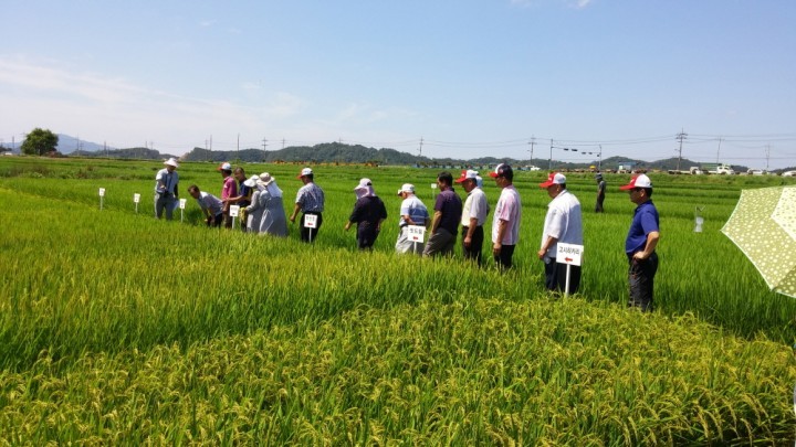 연천군, 기술보급사업 중간 생육 평가회 실시
