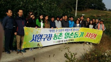 서원구 서원구 직원40명 대추과수원 2,300평 일손돕기 구슬땀