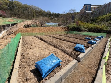 대전 중구, 빈집 부지 텃밭 조성…무료 분양 완료