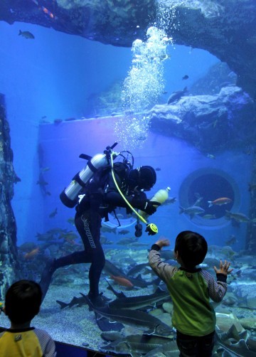 단양 아쿠아리움 추석연휴에도 관람가능