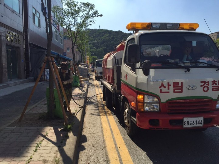대전 동구, 가로수 가뭄피해 예방에 총력!