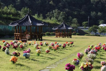 의성군 천제공원, 추석맞이 벌초 시행