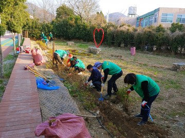 미평동 새마을협의회와 부녀회, 나무심기 나서