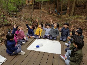  순천자연휴양림에서  유아숲체험 프로그램 운영