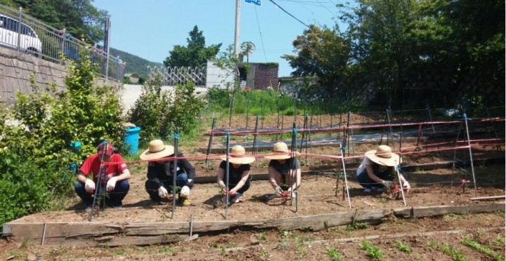 남해군, 청소년·장애인·독거노인들과 함께하는 원예프로그램 실시