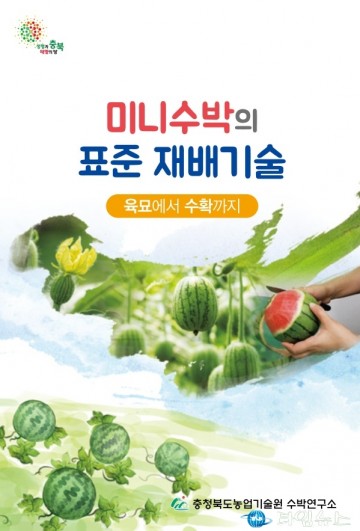 충북농기원, 미니수박 표준재배기술 매뉴얼 최초 제작