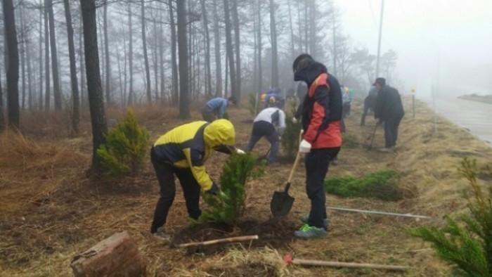영덕국유림관리소 “제70회 식목일 나무심기행사 개최 "