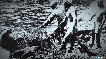 서경덕 교수 – 나영석 PD, 독도 강치 홍보 손잡아 