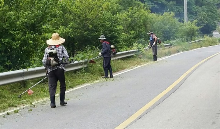 금사면, 추석맞이 도로변 제초작업 실시
