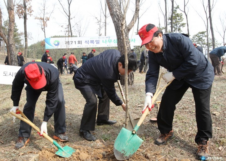 장종태 서구청장, 나무는 이렇게 심어야지!