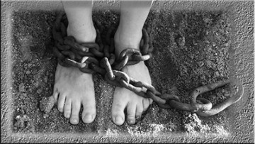 강제개종피해인권연대, 강제개종 피해자 “올해 상반기만 96명”