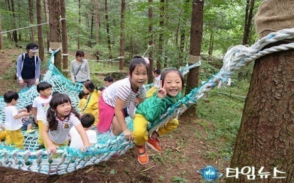 횡성 초원리 ‘화백나무 유아숲체험원’ 개장