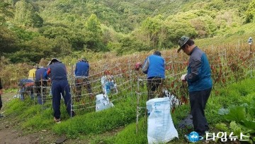 무공봉사회, 고추 농가 일손돕기 봉사로 구슬땀