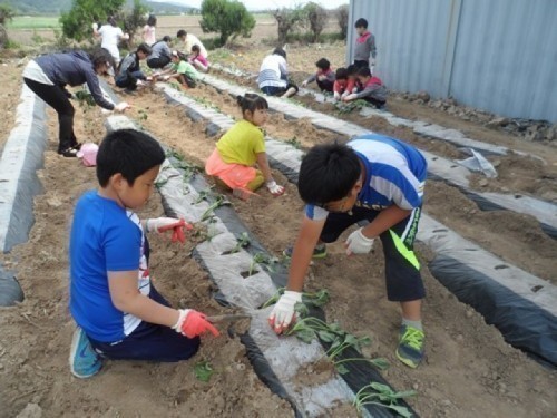 영덕원황초등학교, 녹색 동아리 활동
