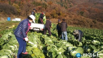 대한민국무공수훈자회 충청북도지부, 농가 일손돕기 봉사로 구슬땀