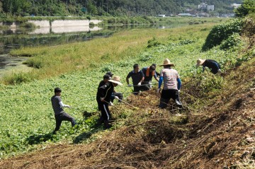 자연 생태환경 보전에 앞장서는 청송군
