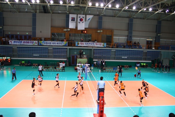 보성군, 2015년 한국실업배구연맹전 개최