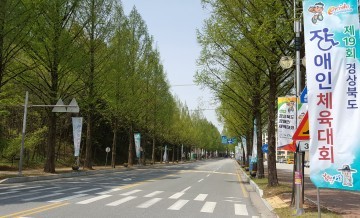 안동시 제19회 경상북도장애인체육대회 마무리 점검
