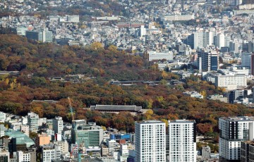 '종묘 사수' 천명한 최휘영 장관 "현행법이 정한 조치 다 할것"