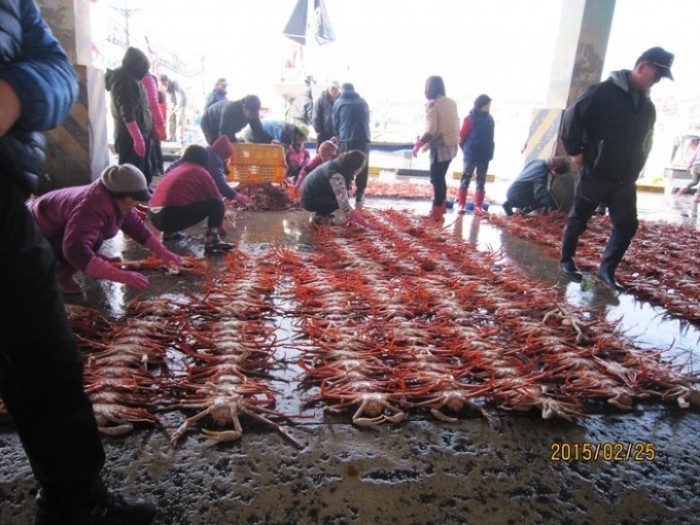 한국수산자원관리공단, 대게 2월 생산 전년 동월 대비 감소
