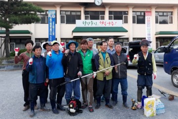 영주 장수면 새마을지도자협의회 풀베기에 앞장서 