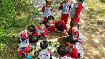 ‘숲이 좋아요!!’ 어린이 숲체험 놀이교실 인기
