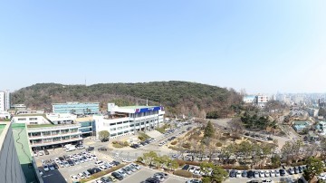 남경필, 살충제 사용 계란 안전성 검사 모든 농가로 확대 지시